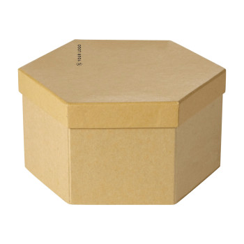 Set d'arte in cartone Kenji