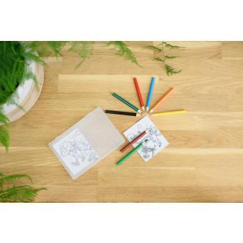Set disegno in PP Adita