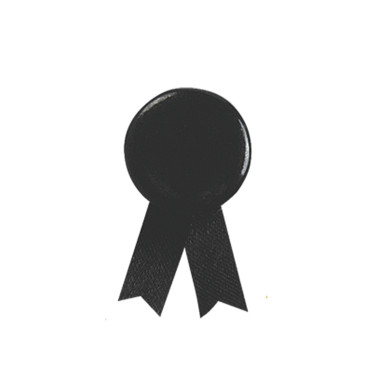 Spilla personalizzabile con finitura lucida e colori assortiti