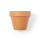 Vaso in terracotta personalizzabile con semi di petunia e drenaggio