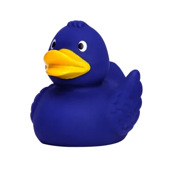 Squeaky duck