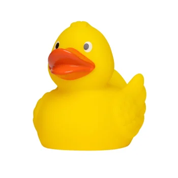 Squeaky duck