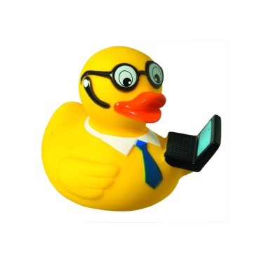 Squeaky duck, laptop