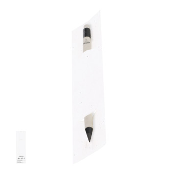 matite piantabili  - Stauton