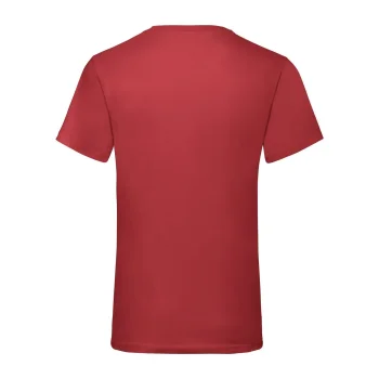 Valueweight V-Neck T