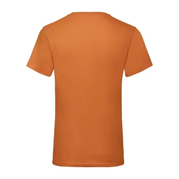 Valueweight V-Neck T