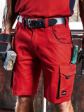 Workwear Bermudas - Color