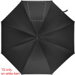 SEGMENTO 3