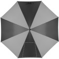 SEGMENTO 1