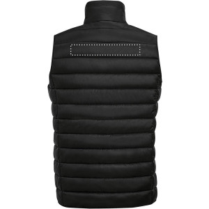 CINTURINO POSTERIORE