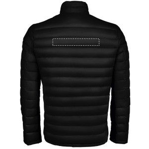 CINTURINO POSTERIORE