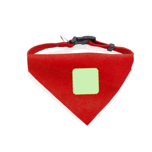 Incentrato sulla Panoleta