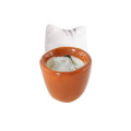 Centrato nel vaso indietro