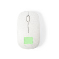 inferiore del mouse
