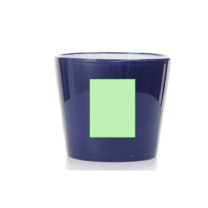 Messo a fuoco sulla parte anteriore