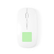 inferiore del mouse
