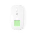 inferiore del mouse