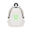 Area 1