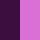 MORA/ROSA ORCHIDEA