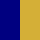 navy/gold-yellow